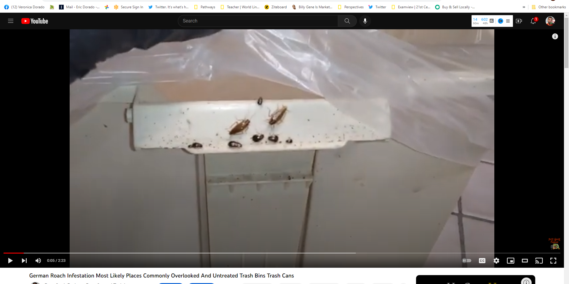 Is Your Trash Bin The Key To Dismantling A German Roach Infestation