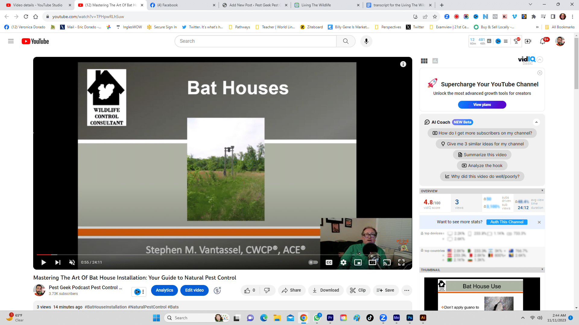 Bat House Installations Bolster Bat Populations With 9 Proven Strategies for Creating Bat