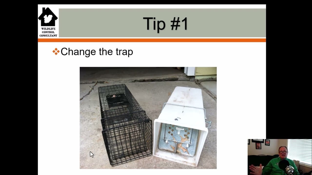 Expert How To Tips - How to Trap Animals
