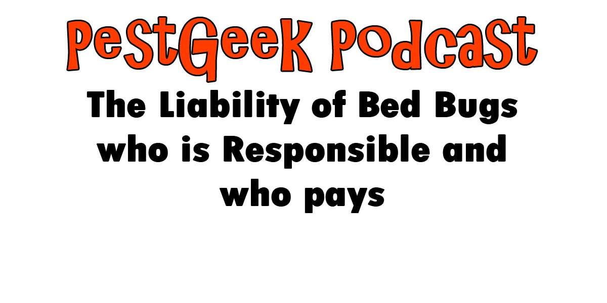 The Liability Of Bed Bugs Who Is Responsible And Who Pays - Pest Geek 