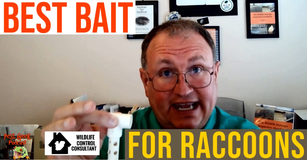 LTW Best Bait For Raccoons | Pest Geek Pest Control Podcast