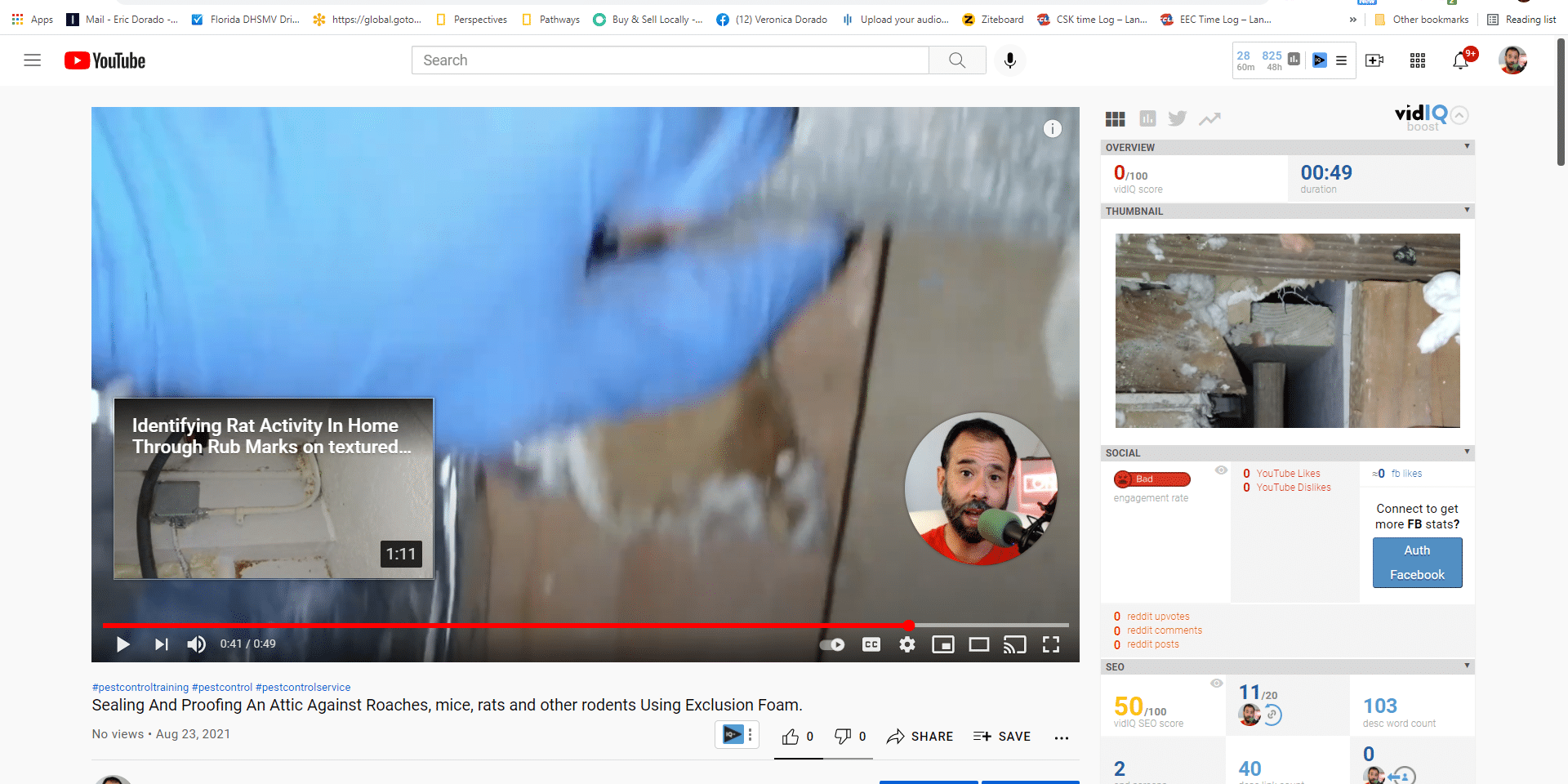 Seal And Proof An Attic Against Roaches, mice, rats and other rodents